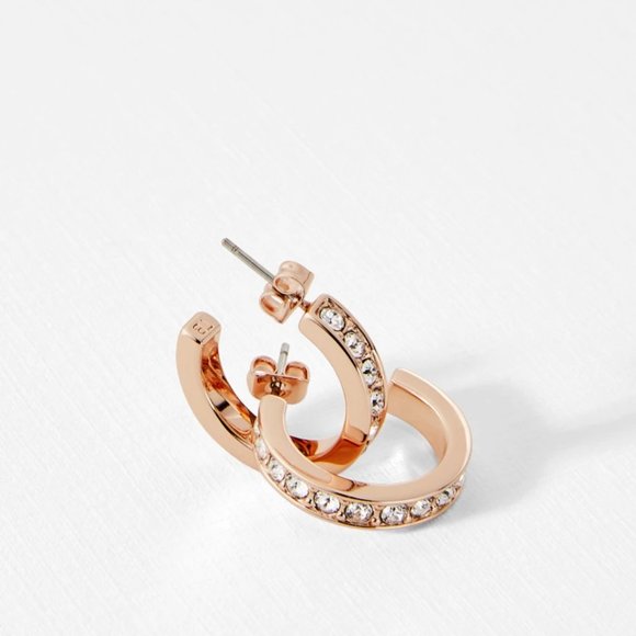 NEW Ted Baker Seanna Crystal Small Hoop Earrings - Picture 3 of 11